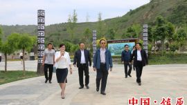 甘肃省旅游发展委员会副主任杨宇宏调研镇原县北石窟驿景区