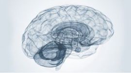 樊登讀書會(huì)APP好書精華解讀推薦--《和繁重的工作一起修行》