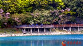 陇南文县：“文旅强县”吹响全域旅游集结号