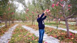 甘肃庆阳扶贫产业