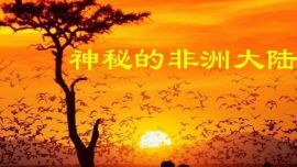 新書(shū)推薦| 《金犀牛：中世紀(jì)非洲史》：發(fā)現(xiàn)中世紀(jì)神秘的非洲 