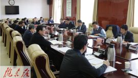 庆阳市政府党组召开（扩大）会议 研究部署化解重大风险防范工作