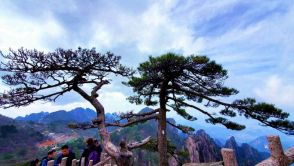 四月黄山，奇峰秀松美如画