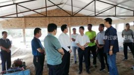 贠建民调研督导西峰区后官寨镇赵咀村“331+”正大生猪育肥基地建设项目