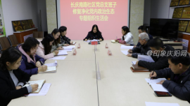 长庆南路社区党总支班子组织召开 修复净化党内政治生态专题组织生活会