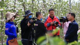 苹果花海媒体人 摄影师：李建琪