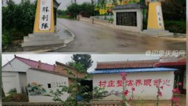 党群齐心建家园  乡间开出幸福花