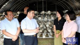 黄泽元在庆城县调研时强调 务实重干抓项目 久久为功兴产业 为县域经济发展增添新动力注入新活力