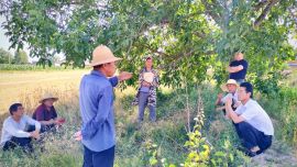 鎮(zhèn)原縣孟壩鎮(zhèn)：紛爭土地多年荒 講情說理一時解