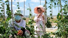 环县：乡村休闲旅游撬动乡村“美丽经济”