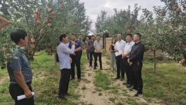 环县环城镇开展2023年上半年观摩考核工作