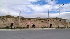 环县：扎实开展环境卫生整治，助力美丽乡村建设