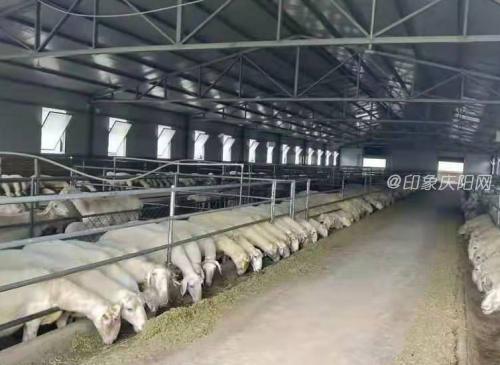 9579770341a14636a2026a50f617adf9