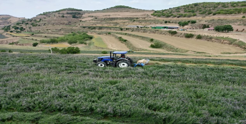 4968ddb394794bc59d814ba43637cced