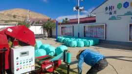 环县南湫乡全面开展饲草青贮工作