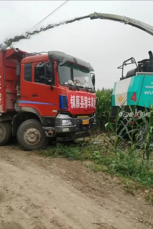 a7775fa947f344348091ea4bc7fce7aa