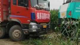 鎮(zhèn)原縣:按下青貯收儲(chǔ)“快進(jìn)鍵”　備足全縣牛羊“越冬糧”