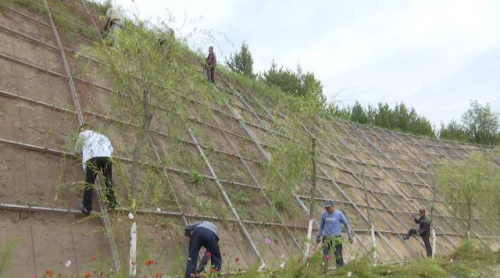 85edd7e21b6048ca989d8fdd75b73184