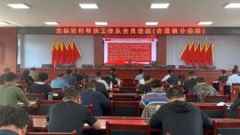 环县合道镇扎实开展驻村帮扶工作队全体成员培训工作