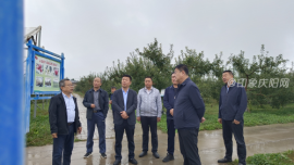 中国苹果产业协会会长杨易调研指导庆城县现代苹果产业发展情况
