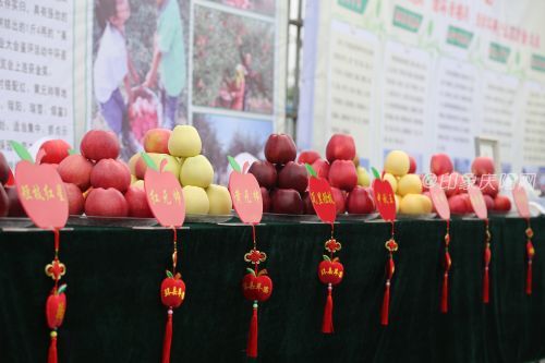 eda4afc79bdd46e3b4e47d8c3079277e