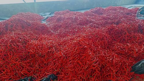 8ee0a4a207764149b7c3f4d2b9494931