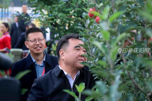 市委書記黃澤元采摘蘋果