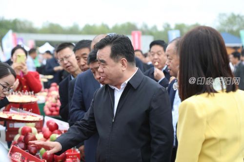 慶陽市委書記黃澤元視察蘋果展品