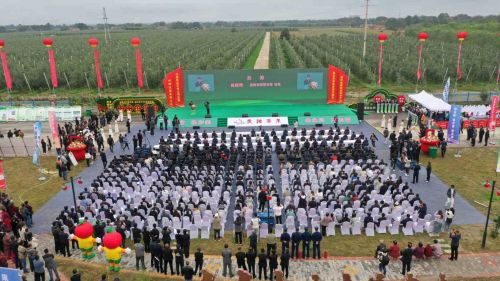 0244859198bb431d9ab8abc5caa7bc64