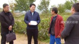 鎮(zhèn)原：陳磊督查調(diào)研新集鎮(zhèn)鞏固脫貧攻堅(jiān)成果工作