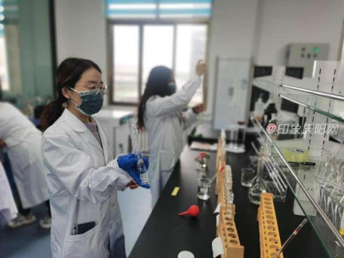 5c740b3a39c34b00a3f2f4c068e00ea6