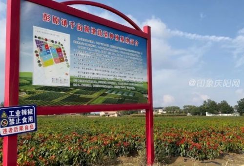 bb748747990a4173a57d16d0e152f31f