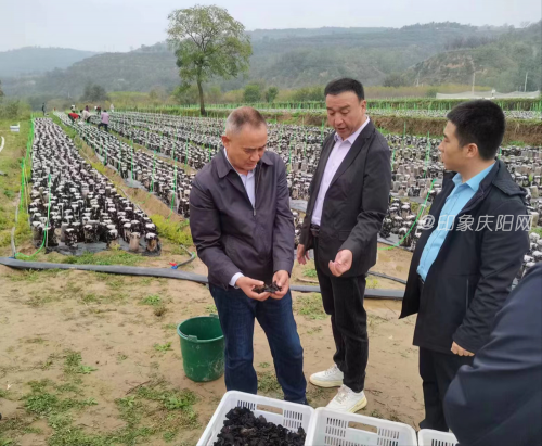 cbc3817a381b4fe3aaf28f0a325ca367