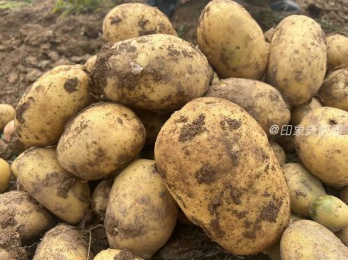 445b255563eb4e4dba05d34b7cf7ade5