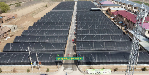 a4001a4061b64399919f7ecad1c8e3b7