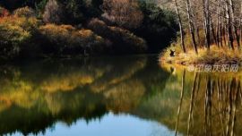 慶陽(yáng)秋意濃！尋一抹南梁“醉”美秋色