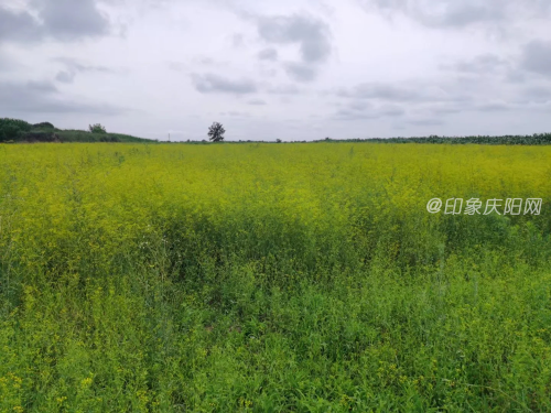 58834ce9944f40e1afa1304505eca538