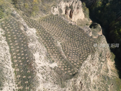 d0019463982b4f8995a522b583d4cbee