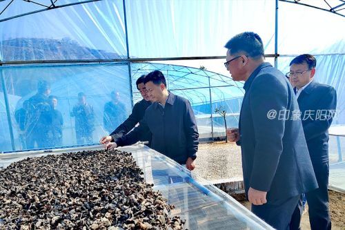 ac270b70836a4b2bb4ad022215480780