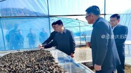 董濤調(diào)研鎮(zhèn)原鞏固拓展脫貧攻堅(jiān)成果同鄉(xiāng)村振興有效銜接工作