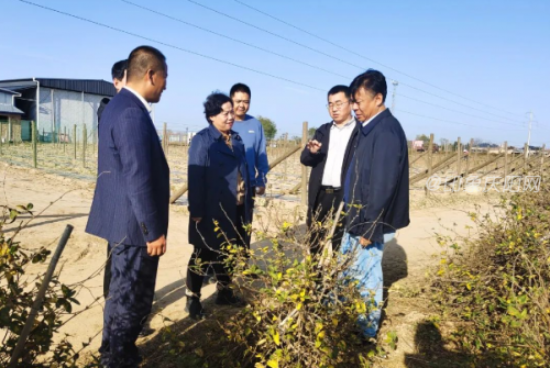 add91c96e0b649aa93b99eec2c43f2a3