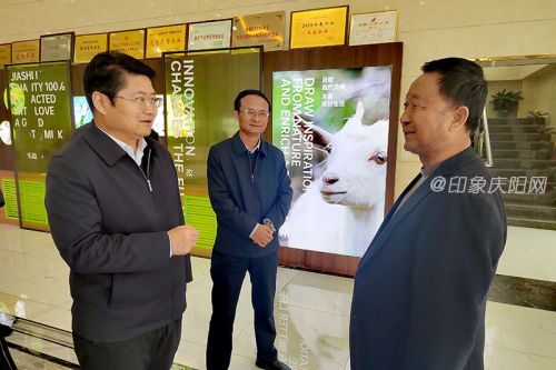 65aea74164fb4d0b81aeee523cbaf0ae