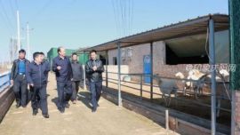 环县：县人大常委会调研组深入罗山川乡调研指导羊产业工作