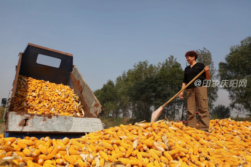 7f2a24d3711345a49971039001395407