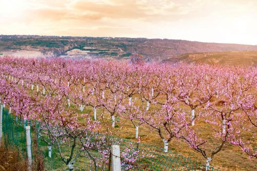 0a52b3b9a3eb474eb6178ac0370aaa79