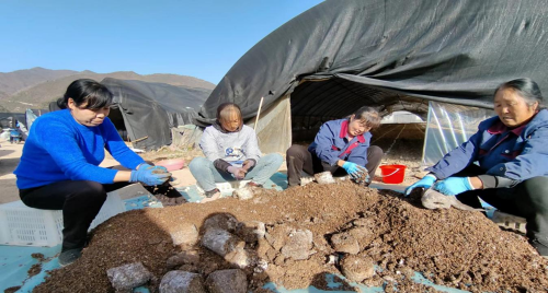 490c763a3ca743089d452ede20d1257e