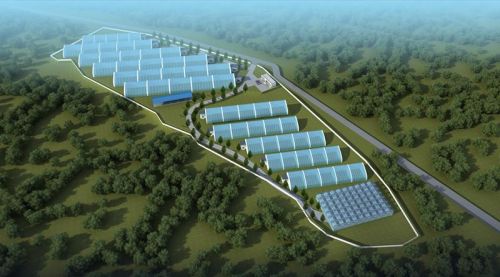 49fbb7252a184949872a26cb1a784622