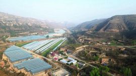 鎮(zhèn)原縣新集鎮(zhèn)：發(fā)展設(shè)施農(nóng)業(yè)，拓寬增收“致富路”