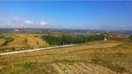 華池幫扶故事 | 白瓜子助力群眾腰包“鼓”起來(lái)