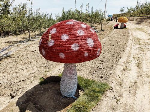 678b5b4c758c4be081c73cac8ad260c4